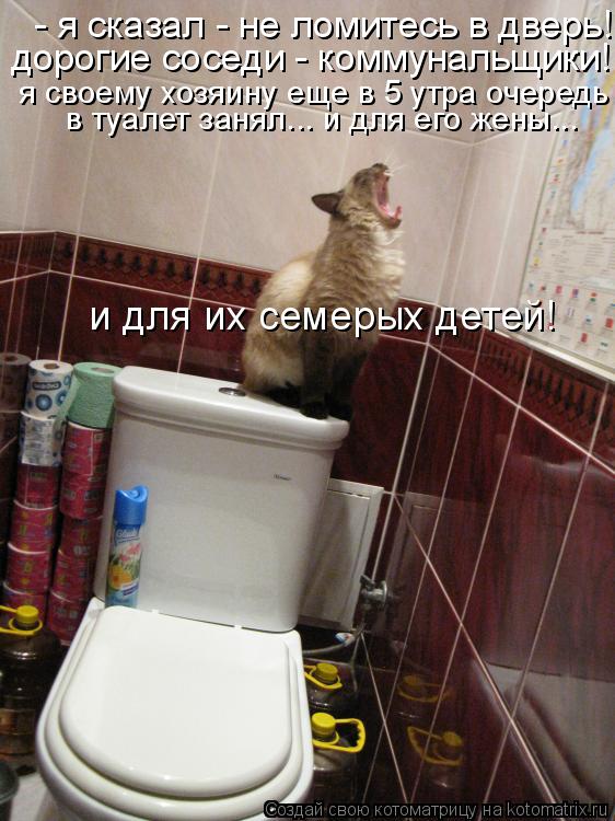 Котоматрица: - я сказал - не ломитесь в дверь!  дорогие соседи - коммунальщики! я своему хозяину еще в 5 утра очередь в туалет занял... и для его жены и для их 