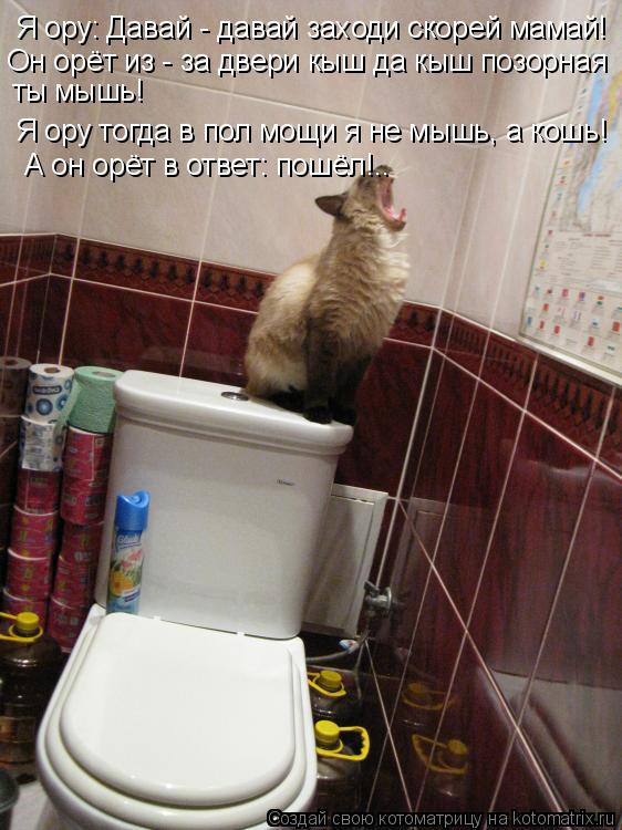 Котоматрица: Я ору: Давай - давай заходи скорей мамай! Он орёт из - за двери кыш да кыш позорная  ты мышь! Я ору тогда в пол мощи я не мышь, а кошь! А он орёт в о
