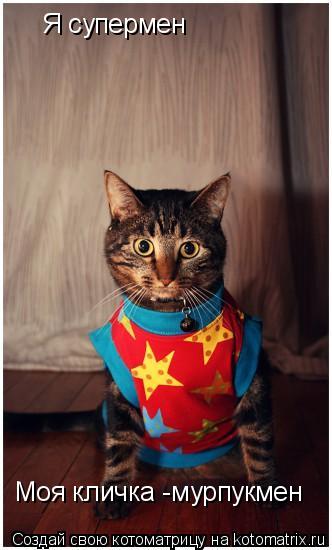 Я супермен Моя кличка -мурпукмен... Котоматрица: Я супермен Моя кличка -мурпукмен