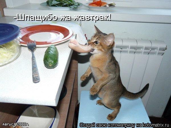 -Шпащибо жа жавтрак!... Котоматрица: -Шпащибо жа жавтрак!