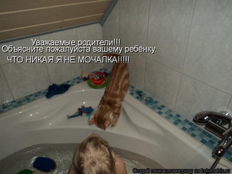 Уважаемые родители!!! Объясните пожалуйста вашему ребёнку, ЧТО НИКАЯ Я НЕ МОЧАЛКА!!!!!... Котоматрица: Уважаемые родители!!! Объясните пожалуйста вашему ребёнку, ЧТО НИКАЯ Я НЕ МОЧАЛКА!!!!!