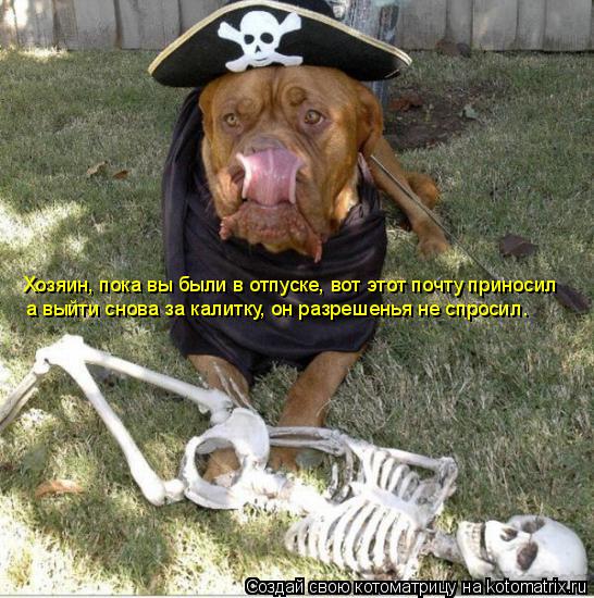 Котоматрица: Хозяин, пока вы были в отпуске, вот этот почту приносил а выйти снова за калитку, он разрешенья не спросил.