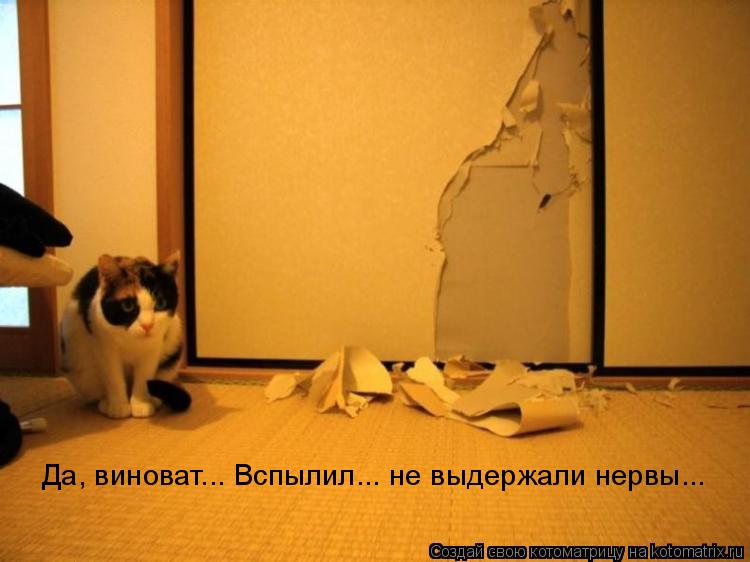 Да, виноват... Вспылил... не выдержали нервы...... Котоматрица: Да, виноват... Вспылил... не выдержали нервы...