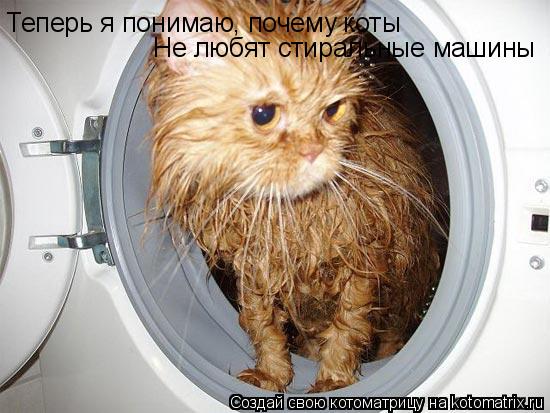 Котоматрица: Теперь я понимаю, почему коты  Не любят стиральные машины
