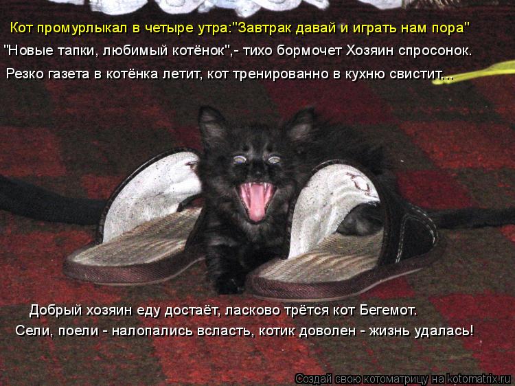 Котоматрица: Кот промурлыкал в четыре утра:"Завтрак давай и играть нам пора" "Новые тапки, любимый котёнок",- тихо бормочет Хозяин спросонок. Резко газета 