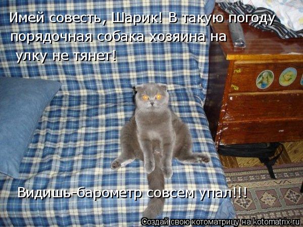 Котоматрица: Имей совесть, Шарик! В такую погоду порядочная собака хозяина на  улку не тянет! Видишь-барометр совсем упал!!!