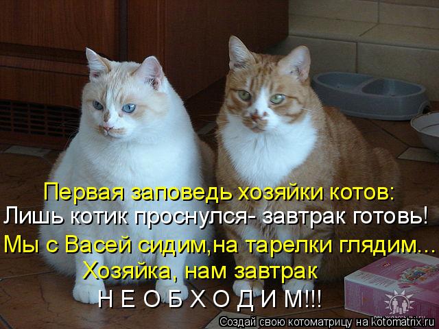 Первая заповедь хозяйки котов: Лишь котик проснулся- завтрак готовь! Мы с Васей сидим,на тарелки гляд... Котоматрица: Первая заповедь хозяйки котов: Лишь котик проснулся- завтрак готовь! Мы с Васей сидим,на тарелки глядим... Хозяйка, нам завтрак Н Е О Б Х О Д И