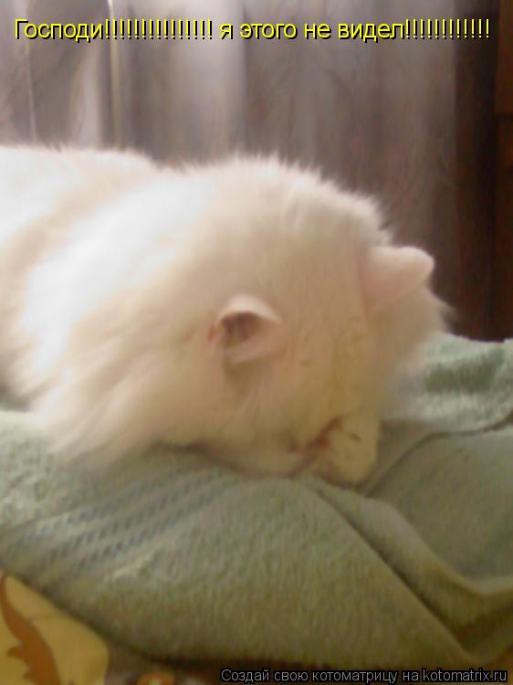 Котоматрица: Господи!!!!!!!!!!!!!!! я этого не видел!!!!!!!!!!!!
