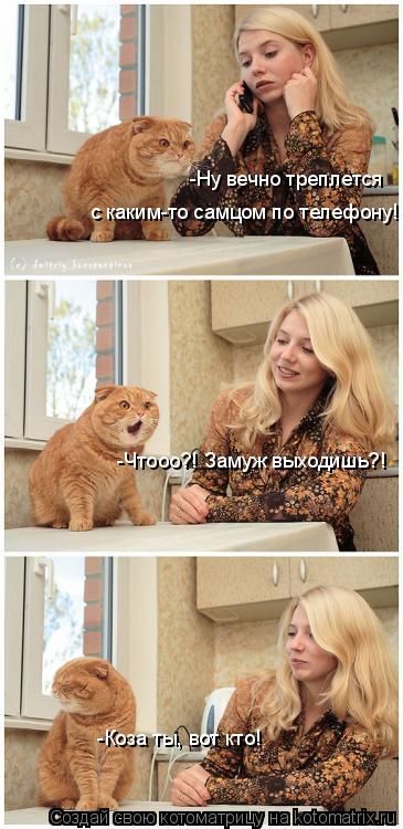 Котоматрица: -Ну вечно треплется с каким-то самцом по телефону! -Чтооо?! Замуж выходишь?! -Коза ты, вот кто!