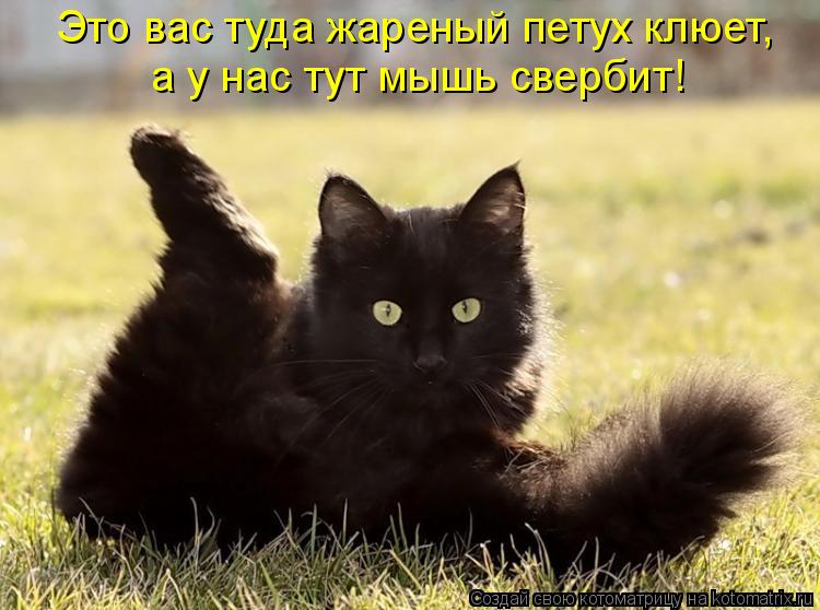 Это вас туда жареный петух клюет, а у нас тут мышь свербит!... Котоматрица: Это вас туда жареный петух клюет, а у нас тут мышь свербит!