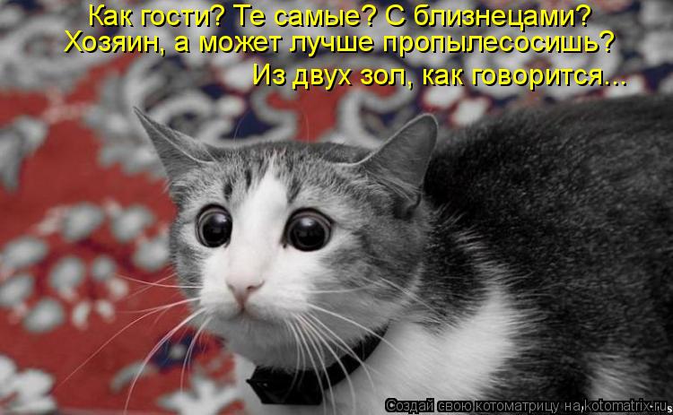 Как гости? Те самые? С близнецами? Хозяин, а может лучше пропылесосишь? Из двух зол, как говорится.... Котоматрица: Как гости? Те самые? С близнецами? Хозяин, а может лучше пропылесосишь? Из двух зол, как говорится...