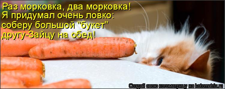 Раз морковка, два морковка! Я придумал очень ловко: соберу большой "букет" другу-Зайцу на обед!... Котоматрица: Раз морковка, два морковка! Я придумал очень ловко: соберу большой "букет" другу-Зайцу на обед!