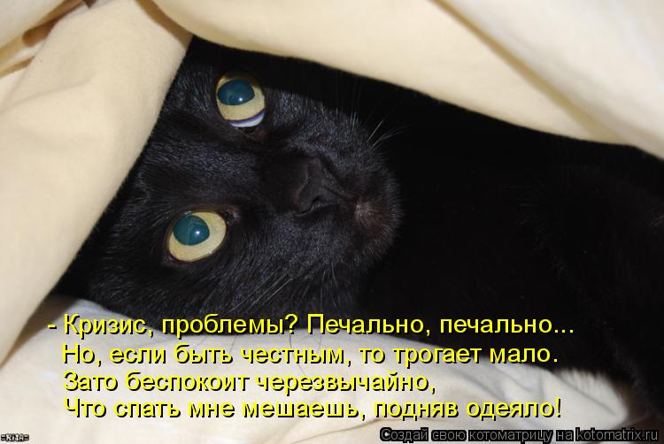 - Кризис, проблемы? Печально, печально... Но, если быть честным, то трогает мало. Что спать мне мешае... Котоматрица: - Кризис, проблемы? Печально, печально... Но, если быть честным, то трогает мало. Что спать мне мешаешь, подняв одеяло! Зато беспокоит черезвыч