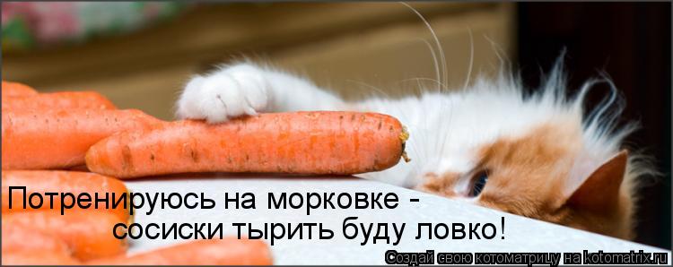 Потренируюсь на морковке - сосиски тырить буду ловко!... Котоматрица: Потренируюсь на морковке - сосиски тырить буду ловко!