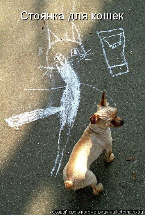 Стоянка для кошек... Котоматрица: Стоянка для кошек