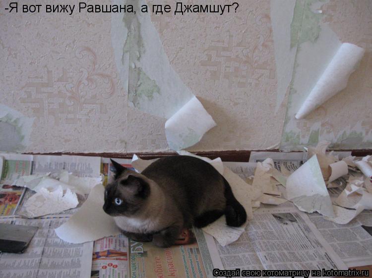 Котоматрица: -Я вот вижу Равшана, а где Джамшут?