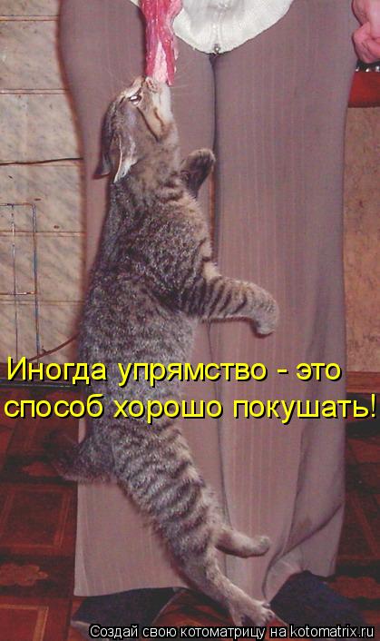 Котоматрица: Иногда упрямство - это способ хорошо покушать!