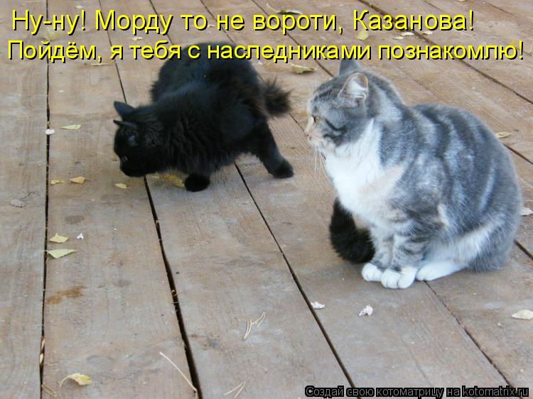 Ну-ну! Морду то не вороти, Казанова! Пойдём, я тебя с наследниками познакомлю!... Котоматрица: Ну-ну! Морду то не вороти, Казанова! Пойдём, я тебя с наследниками познакомлю!