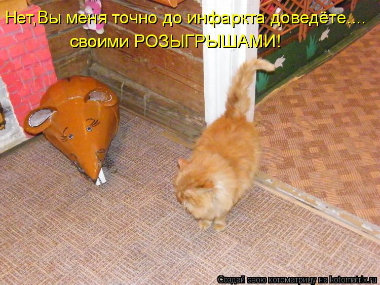 Нет,Вы меня точно до инфаркта доведёте.... своими РОЗЫГРЫШАМИ! своими РОЗЫГРЫШАМИ! своими РОЗЫГРЫШАМИ... Котоматрица: Нет,Вы меня точно до инфаркта доведёте.... своими РОЗЫГРЫШАМИ! своими РОЗЫГРЫШАМИ! своими РОЗЫГРЫШАМИ!