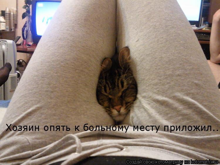 Хозяин опять к больному месту приложил...... Котоматрица: Хозяин опять к больному месту приложил...