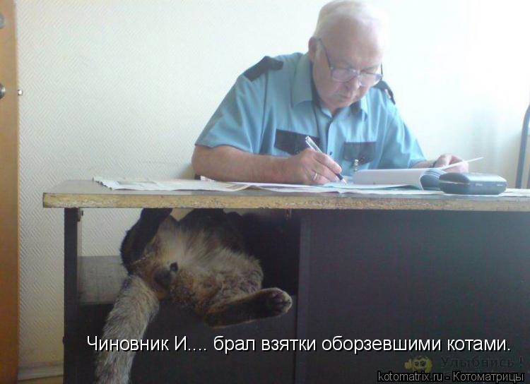 Котоматрица: Чиновник И.... брал взятки оборзевшими котами.