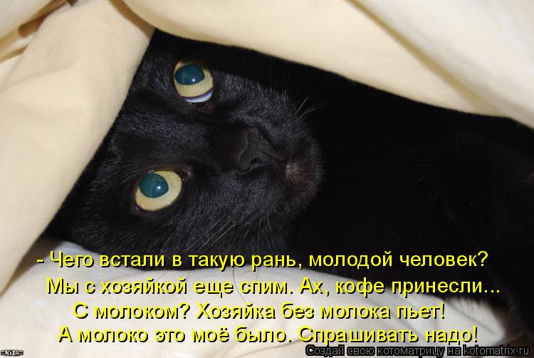 - Чего встали в такую рань, молодой человек? Мы с хозяйкой еще спим. Ах, кофе принесли... С молоком? ... Котоматрица: - Чего встали в такую рань, молодой человек? Мы с хозяйкой еще спим. Ах, кофе принесли... С молоком? Хозяйка без молока пьет! А молоко это моё бы