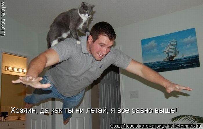 Котоматрица: Хозяин, да как ты ни летай, я все равно выше!