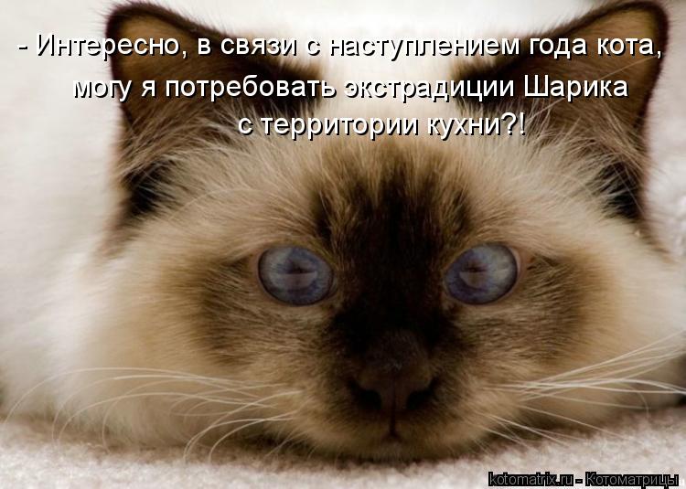 - Интересно, в связи с наступлением года кота, с территории кухни?! могу я потребовать экстрадиции Ша... Котоматрица: - Интересно, в связи с наступлением года кота, с территории кухни?! могу я потребовать экстрадиции Шарика