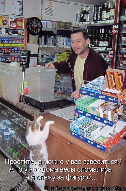 Котоматрица: -Простите, а можно у вас взвеситься? А то у нас дома весы сломались, а я слежу за фигурой...