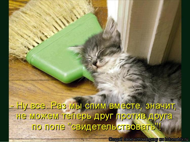 - Ну все. Раз мы спим вместе, значит, не можем теперь друг против друга по попе "свидетельствовать"!... Котоматрица: - Ну все. Раз мы спим вместе, значит, не можем теперь друг против друга по попе "свидетельствовать"!