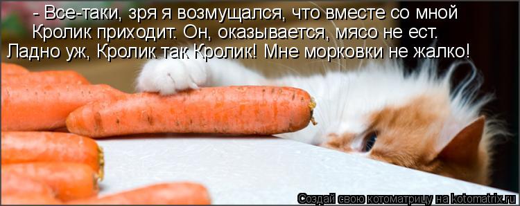 - Все-таки, зря я возмущался, что вместе со мной Кролик приходит. Он, оказывается, мясо не ест. Ладн... Котоматрица: - Все-таки, зря я возмущался, что вместе со мной Кролик приходит. Он, оказывается, мясо не ест. Ладно уж, Кролик так Кролик! Мне морковки не жал