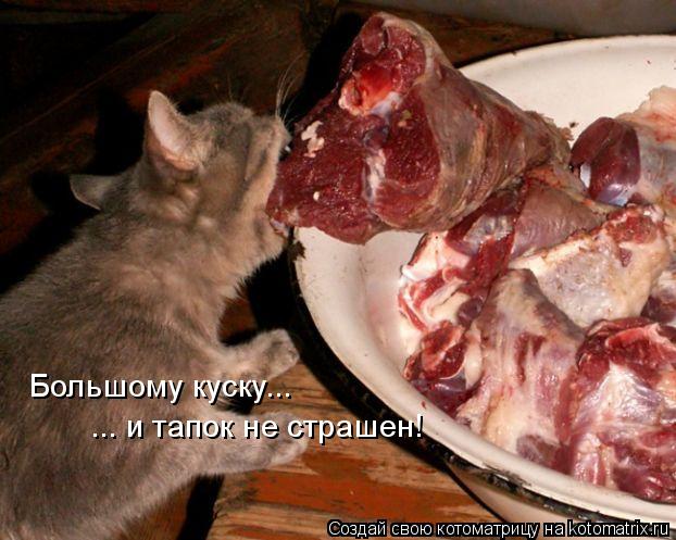 Котоматрица: Большому куску...  ... и тапок не страшен!