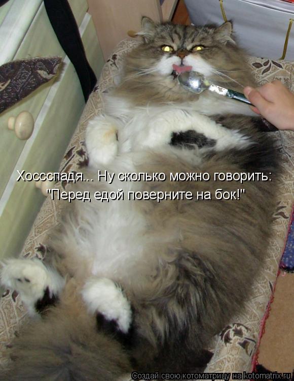 Хоссспадя... Ну сколько можно говорить: "Перед едой поверните на бок!"... Котоматрица: Хоссспадя... Ну сколько можно говорить: "Перед едой поверните на бок!"
