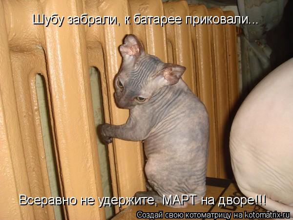 Шубу забрали, к батарее приковали... Всеравно не удержите, МАРТ на дворе!!!... Котоматрица: Шубу забрали, к батарее приковали... Всеравно не удержите, МАРТ на дворе!!!