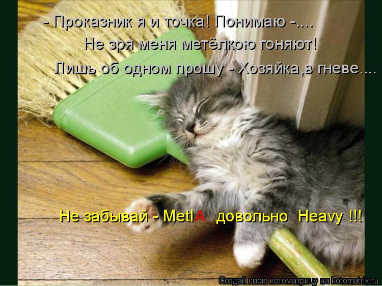 - Проказник я и точка! Понимаю -.... Не зря меня метёлкою гоняют! Лишь об одном прошу - Хозяйка,в гн... Котоматрица: - Проказник я и точка! Понимаю -.... Не зря меня метёлкою гоняют! Лишь об одном прошу - Хозяйка,в гневе.... Не забывай - Metl довольно Heavy !!!