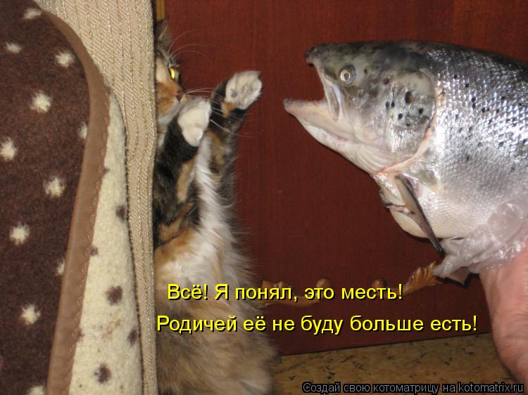 Всё! Я понял, это месть! Родичей её не буду больше есть!... Котоматрица: Всё! Я понял, это месть! Родичей её не буду больше есть!