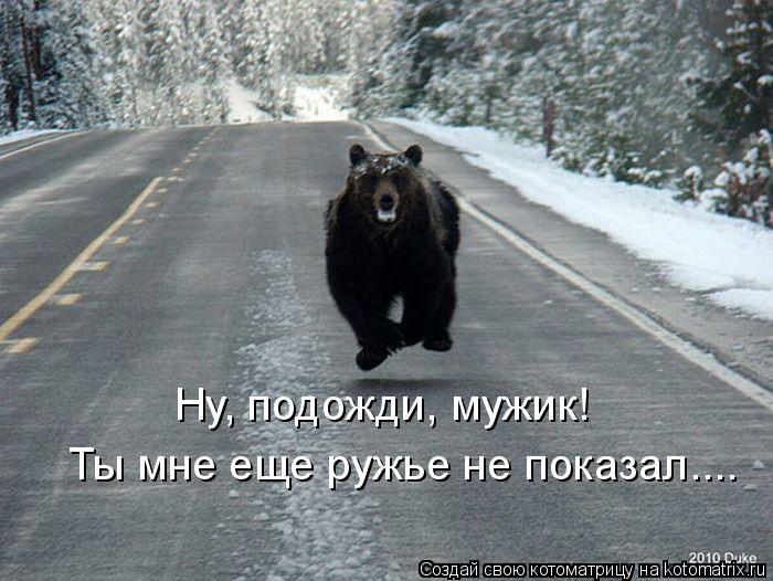 Ты мне еще ружье не показал.... Ну, подожди, мужик!... Котоматрица: Ты мне еще ружье не показал.... Ну, подожди, мужик!
