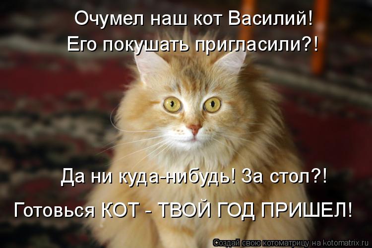 Котоматрица: Очумел наш кот Василий! Его покушать пригласили?! Да ни куда-нибудь! За стол?! Готовься КОТ - ТВОЙ ГОД ПРИШЕЛ!