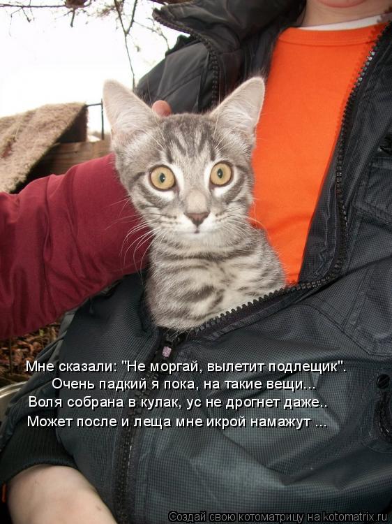 Мне сказали: "Не моргай, вылетит подлещик". Очень падкий я пока, на такие вещи... Воля собрана в кула... Котоматрица: Мне сказали: "Не моргай, вылетит подлещик". Очень падкий я пока, на такие вещи... Воля собрана в кулак, ус не дрогнет даже.. Может после и леща мн