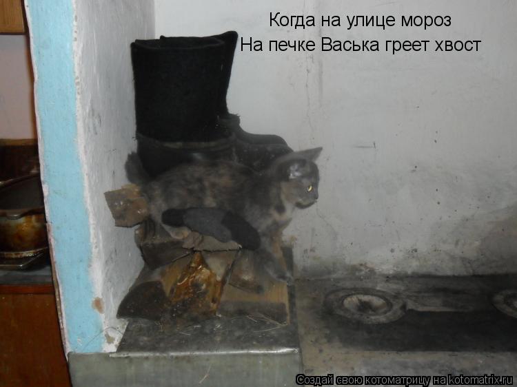 Когда на улице мороз На печке Васька греет хвост... Котоматрица: Когда на улице мороз На печке Васька греет хвост