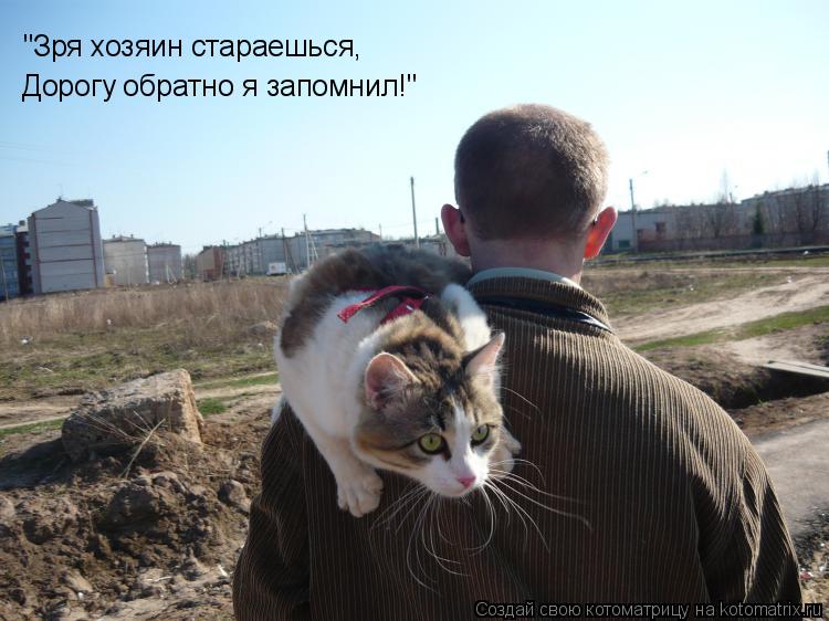 Котоматрица: "Зря хозяин стараешься, Дорогу обратно я запомнил!"