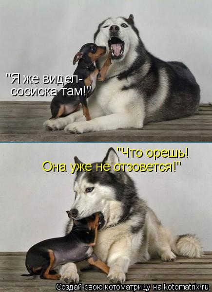 "Я же видел- сосиска там!" "Что орешь! Она уже не отзовется!"... Котоматрица: "Я же видел- сосиска там!" "Что орешь! Она уже не отзовется!"