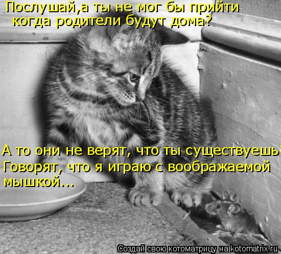 Послушай,а ты не мог бы прийти когда родители будут дома? А то они не верят, что ты существуешь! Го... Котоматрица: Послушай,а ты не мог бы прийти когда родители будут дома? А то они не верят, что ты существуешь! Говорят, что я играю с воображаемой мышкой...
