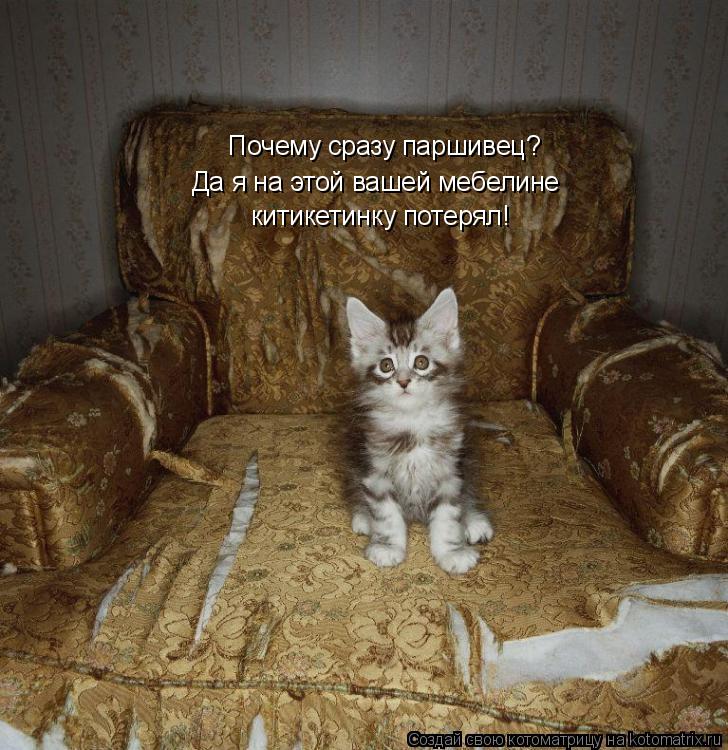 Почему сразу паршивец? Да я на этой вашей мебелине китикетинку потерял!... Котоматрица: Почему сразу паршивец? Да я на этой вашей мебелине китикетинку потерял!