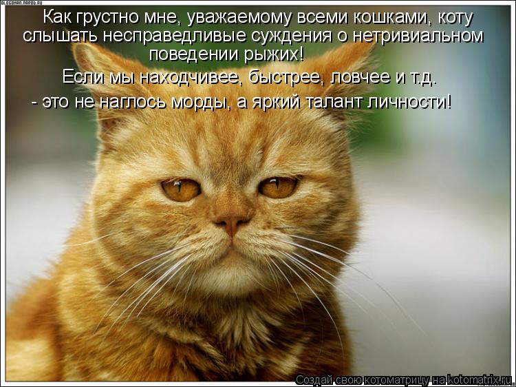 Котоматрица: Как грустно мне, уважаемому всеми кошками, коту слышать несправедливые суждения о нетривиальном поведении рыжих! Если мы находчивее, быстр