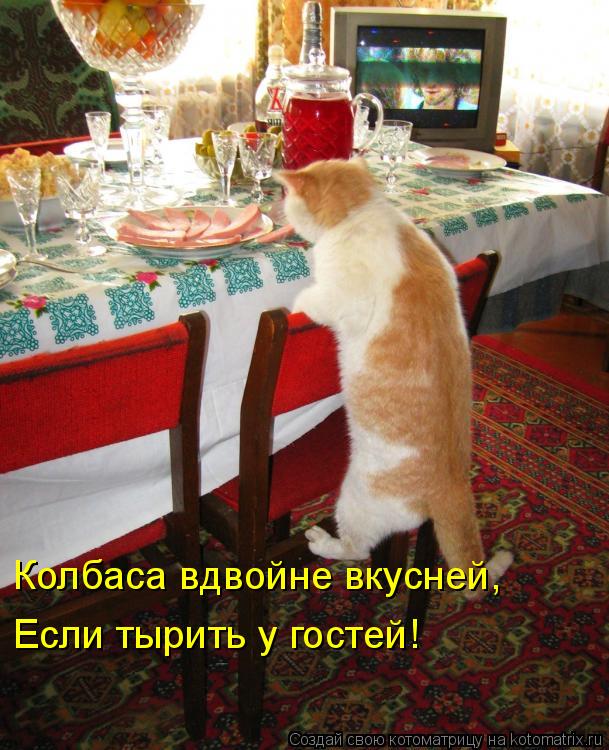 Колбаса вдвойне вкусней, Если тырить у гостей!... Котоматрица: Колбаса вдвойне вкусней, Если тырить у гостей!