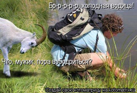 Бр-р-р-р-р, холодная водица! Что, мужик, пора взбодриться?... Котоматрица: Бр-р-р-р-р, холодная водица! Что, мужик, пора взбодриться?