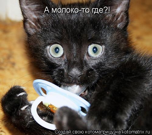 Котоматрица: А молоко-то где?!
