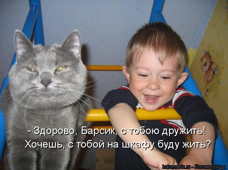 - Здорово, Барсик, с тобою дружить! Хочешь, с тобой на шкафу буду жить?... Котоматрица: - Здорово, Барсик, с тобою дружить! Хочешь, с тобой на шкафу буду жить?