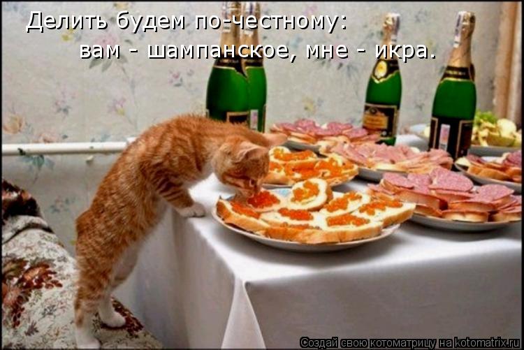 Котоматрица: Делить будем по-честному: вам - шампанское, мне - икра.